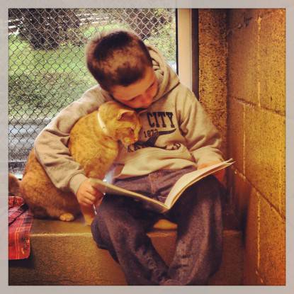 Un bambino legge al gatto
