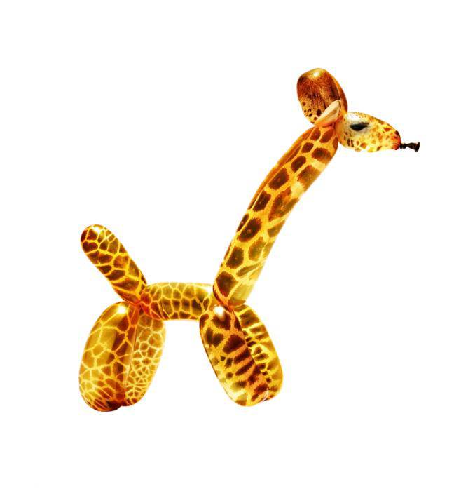 giraffa palloncini 