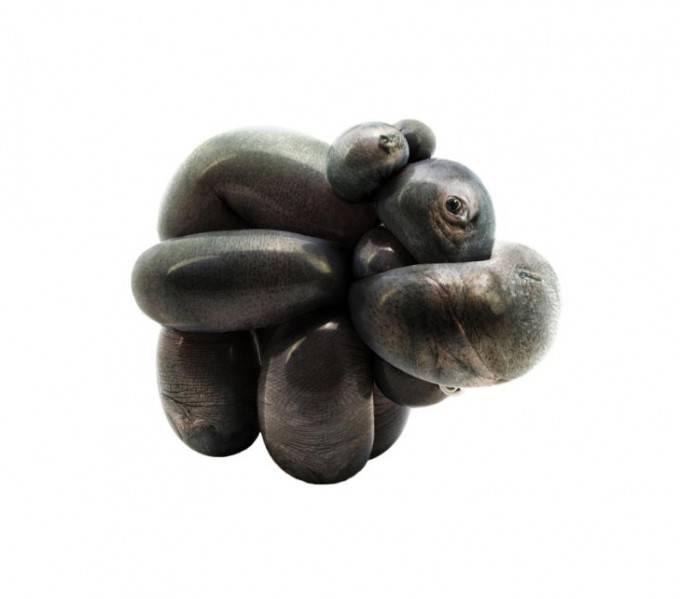 ippopotamo palloncini