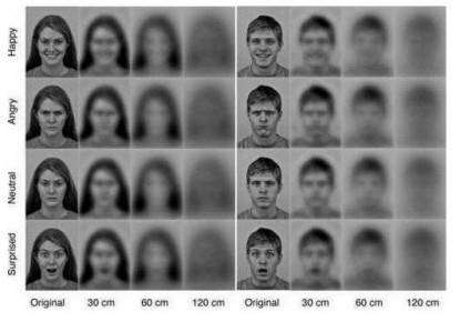come vedono i neonati