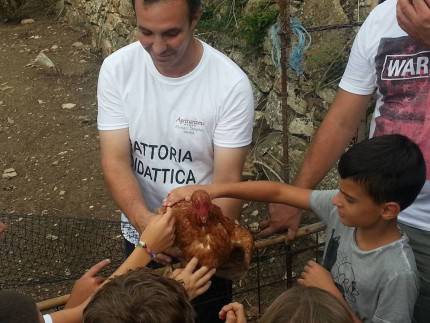 12084011_10207931871684902_519488412_n