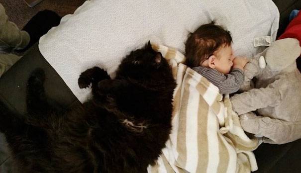 bimbo e gatto nero