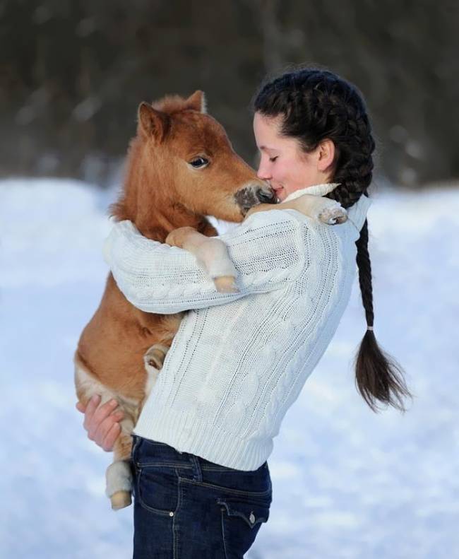 ragazza e cavallo 