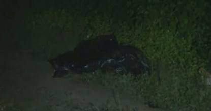 ragazze sole nei sacchi