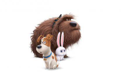 1434619997_untitled_pet_project_image