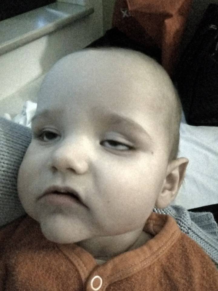 carrello della spesa