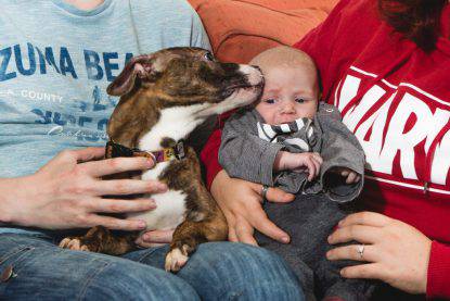 swns_misscarriage_puppy_23-1024x683