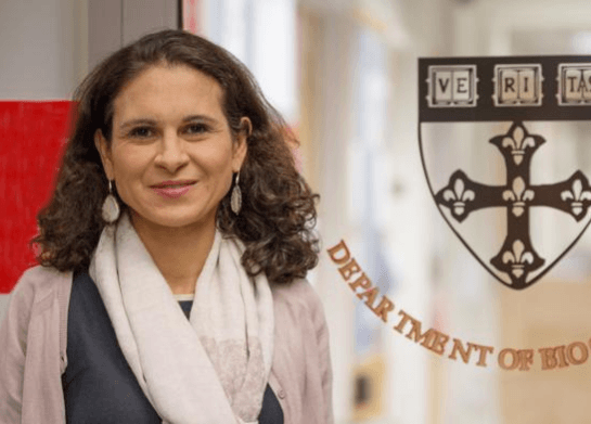 francesca-dominici-corriere