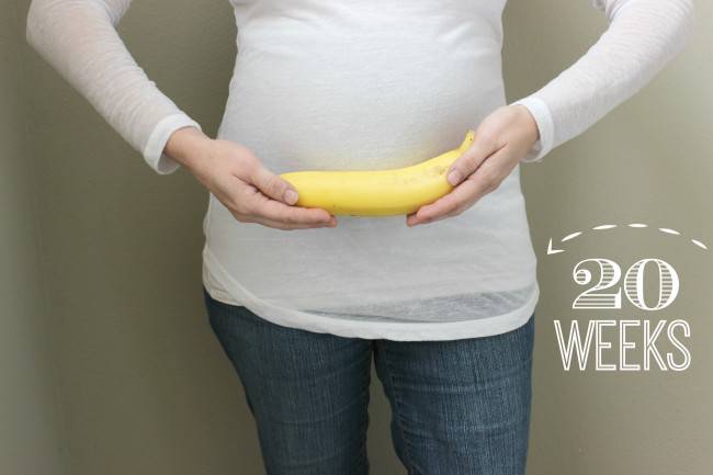 week-20-baby-update-baby-size-of-a-banana-650x433