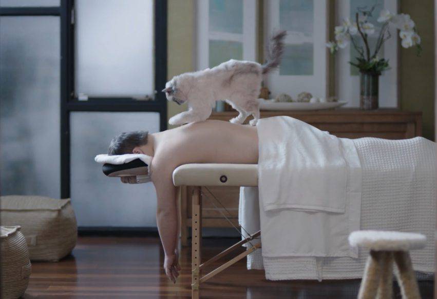 bisogni speciali sindrome di down