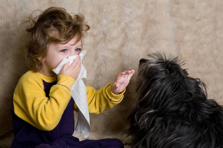 allergia a cani e gatti