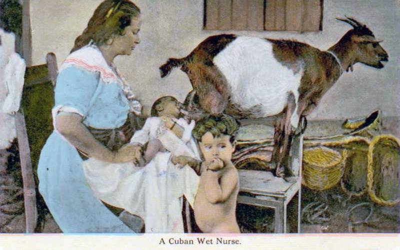 storia dell'allattamento