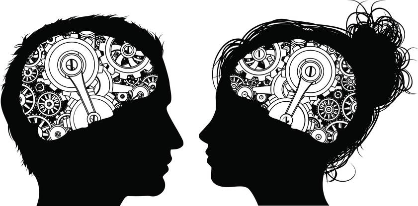 cervello di uomini e donne