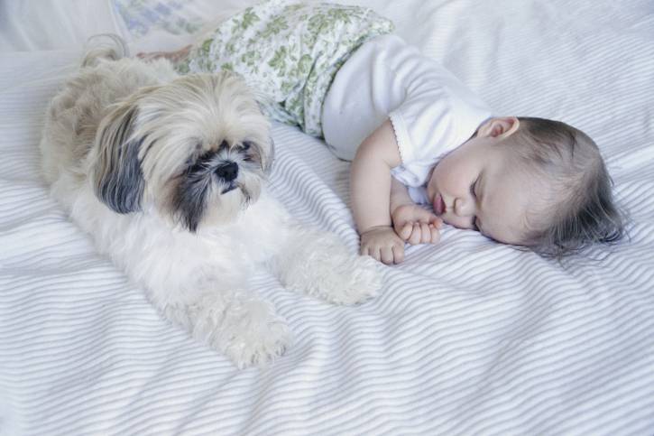 Neonato che dorme con cane