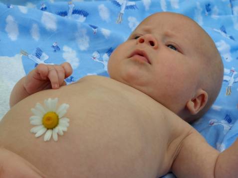 Neonato con fiore di camomilla