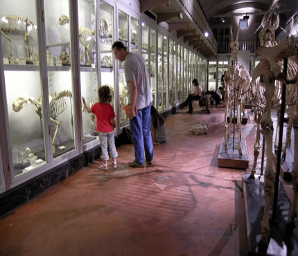 bambini al museo