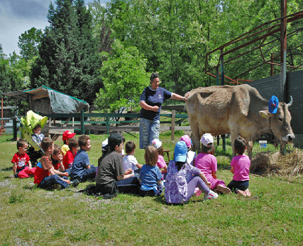 bambini a lezione nella fattoria didattica