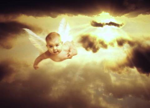 baby angel