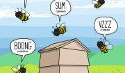 che verso fanno le api