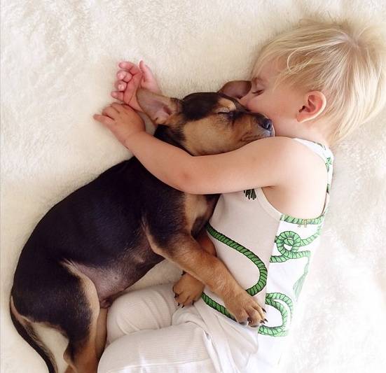 beau e theo dormono insieme