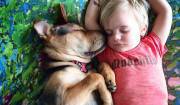 bimbo con maglietta rossa e cane dormono