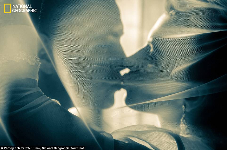 primo piano di uomo e donna che si baciano dietro un velo di tulle