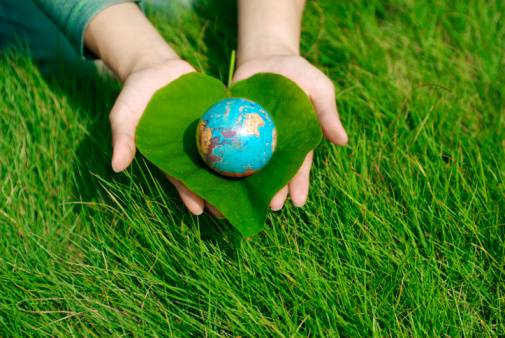 Hands holding a globe