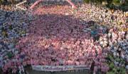 Race-for-the-cure partenza