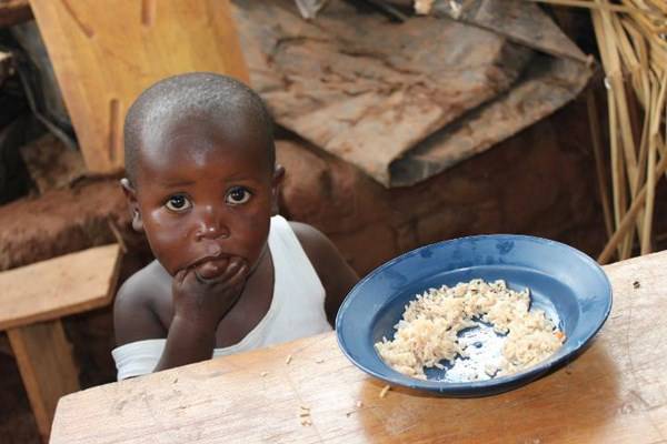 bambino mangia riso