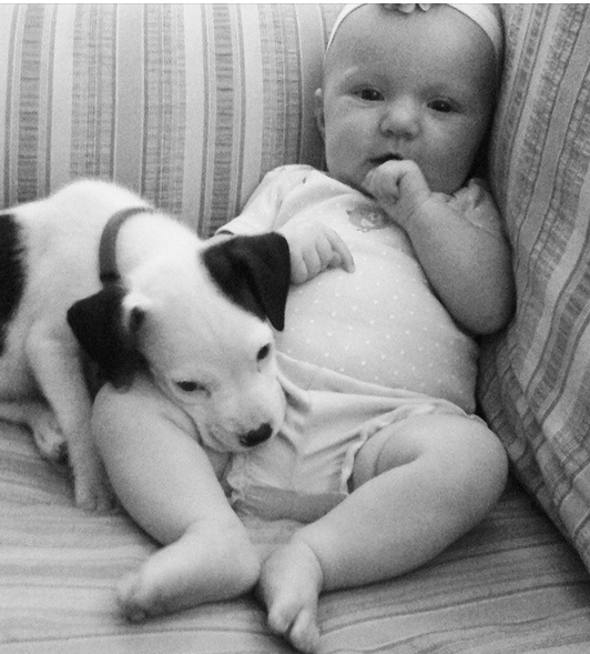 bimbo con cagnolino insieme sul divano