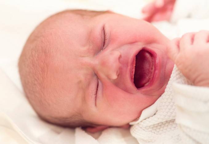 neonati e dolore