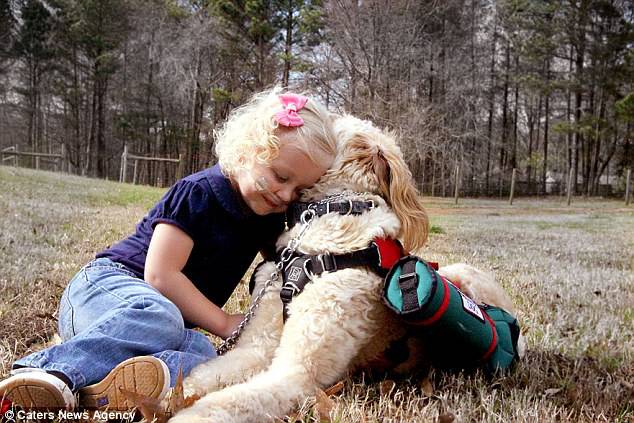 bimba e cane giocano