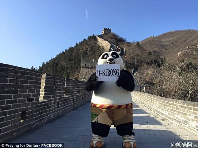 kong fu panda