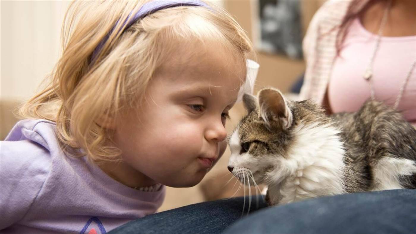coccole