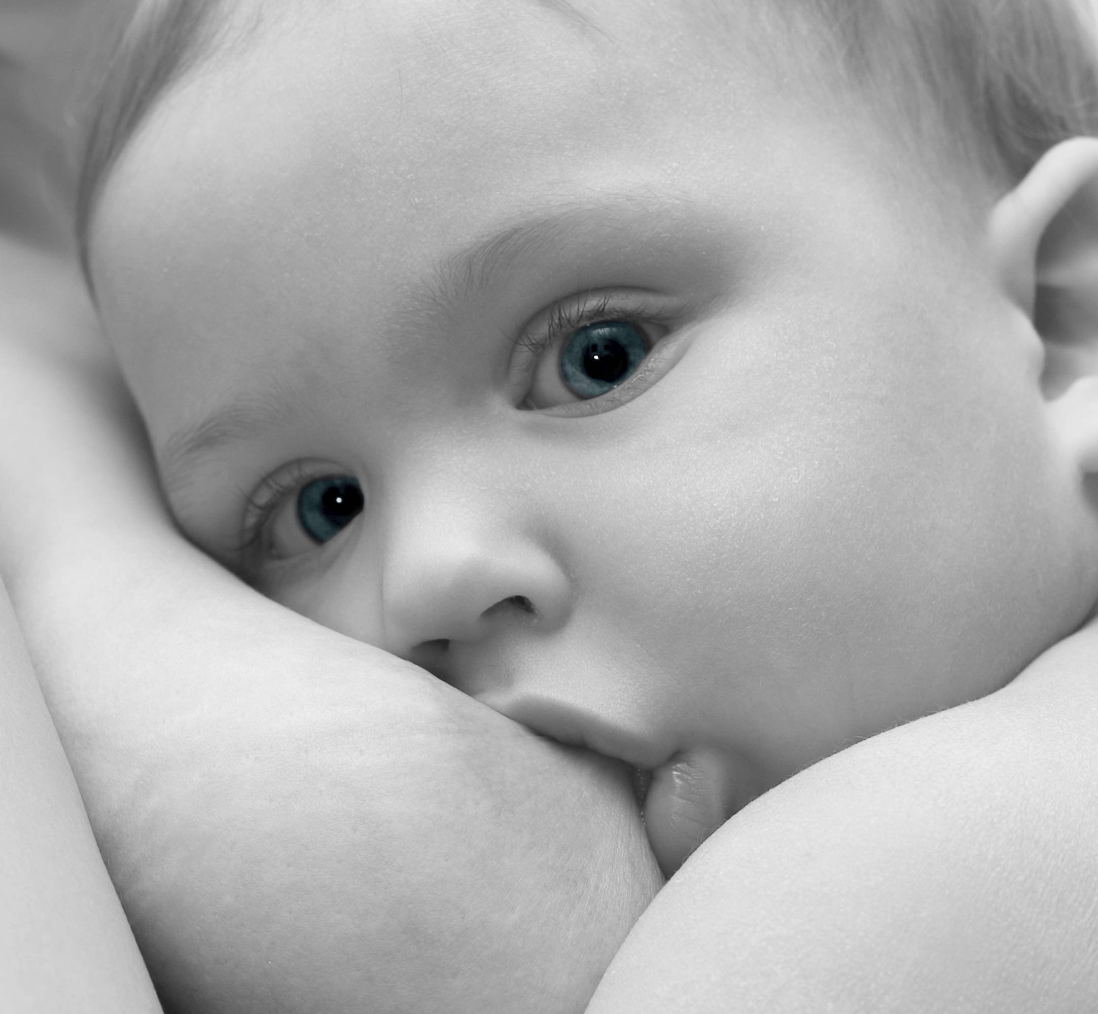 latte materno e steatosi epatica