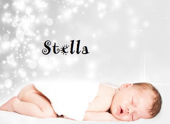 stella