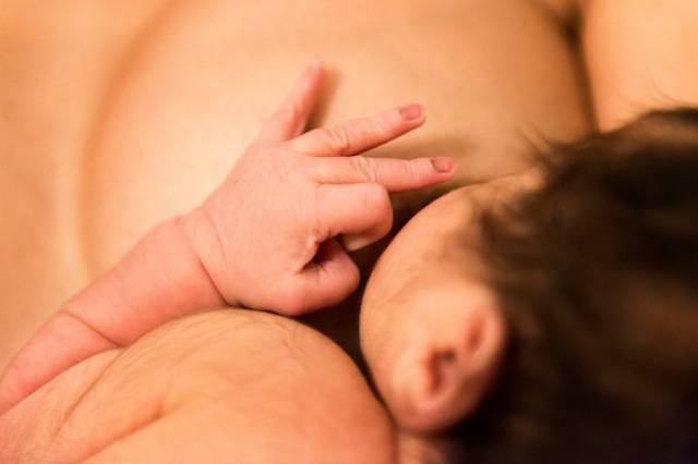 neonati cercano il seno