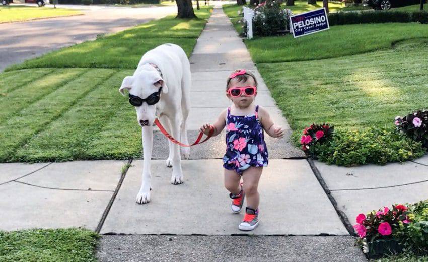 la bambina e il cane