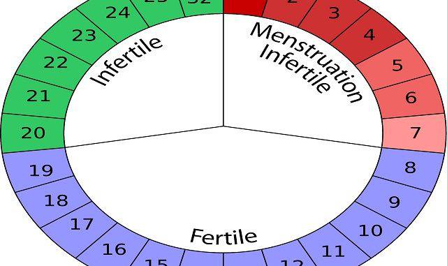 periodo fertile come si calcola