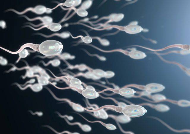 qualità degli spermatozoi
