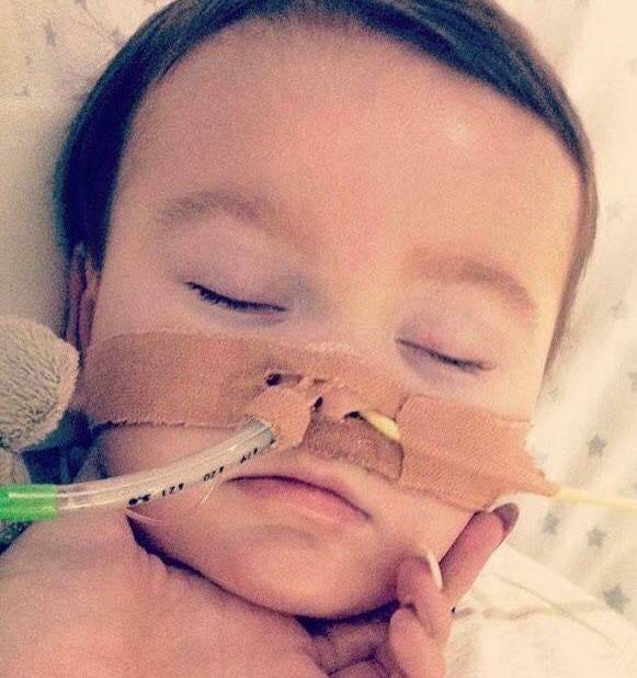 alfie evans