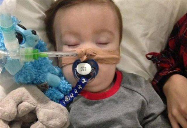 alfie evans