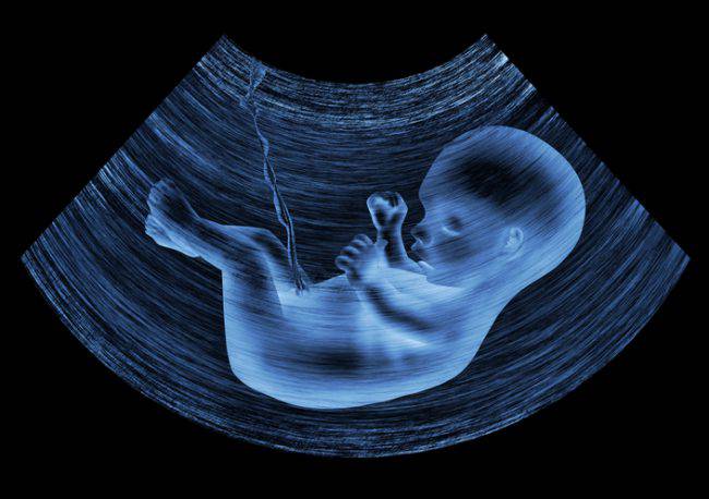 crescita del feto