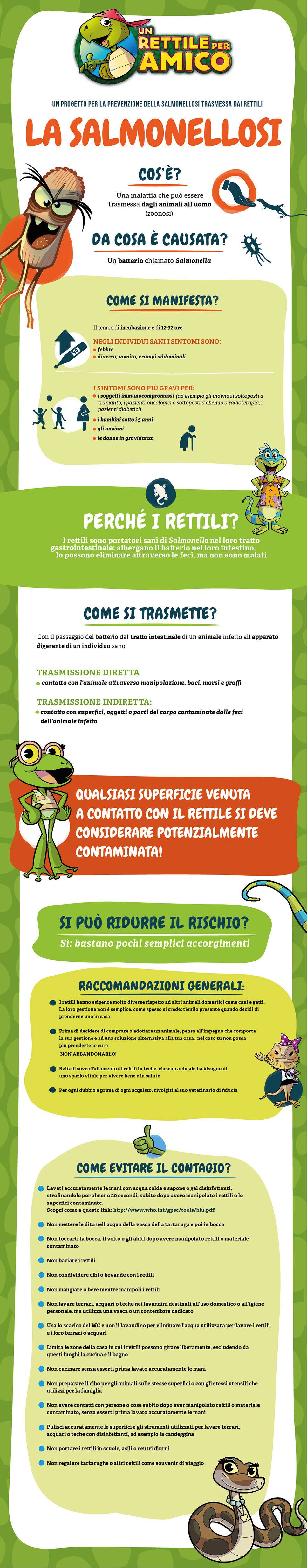 INFOGRAFICA_un rettile per amico