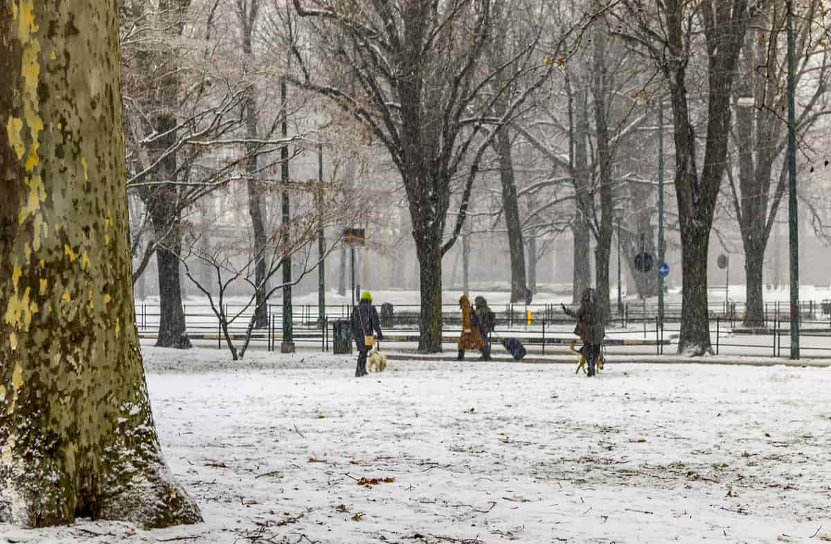 meteo ultimo weekend gennaio