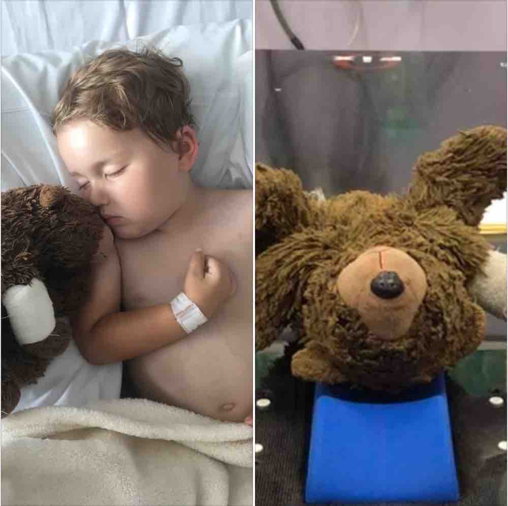 BAMBINO MALATO ORSACCHIOTTO