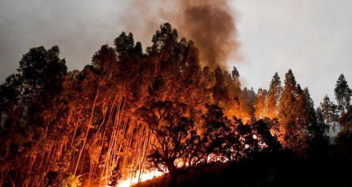 incendio como maximulta