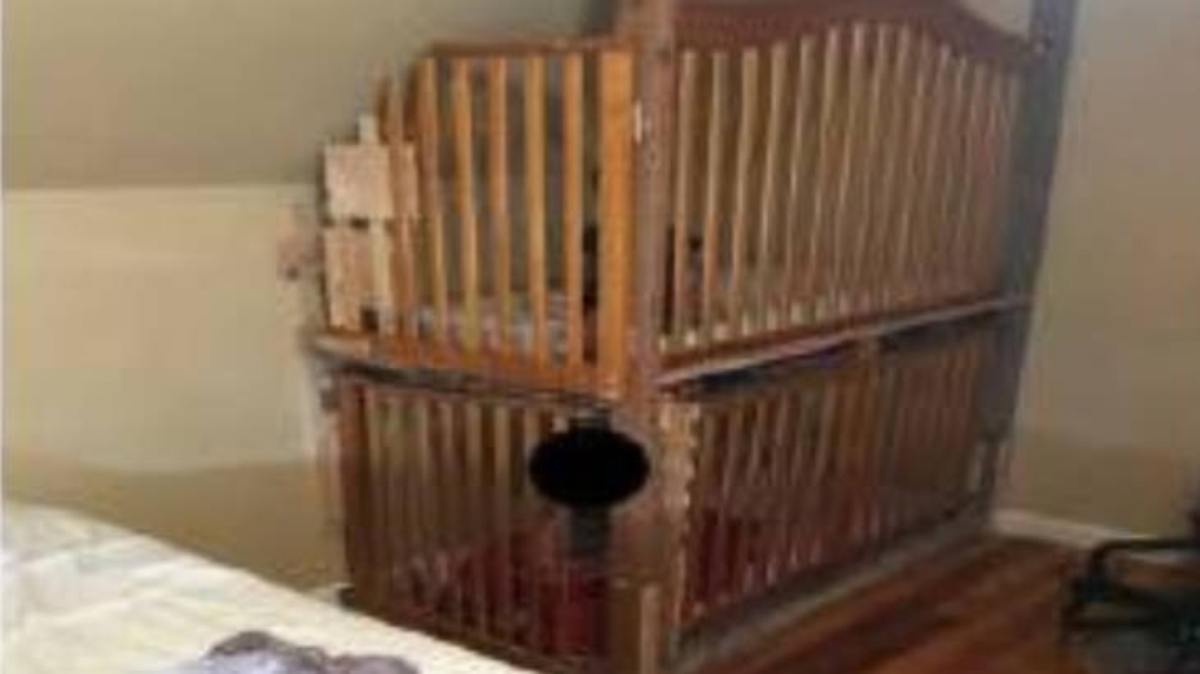 bambini nelle gabbie 2