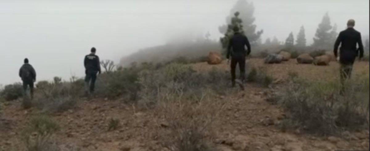 bambino fa trovare i cadavero di mamma e fratello