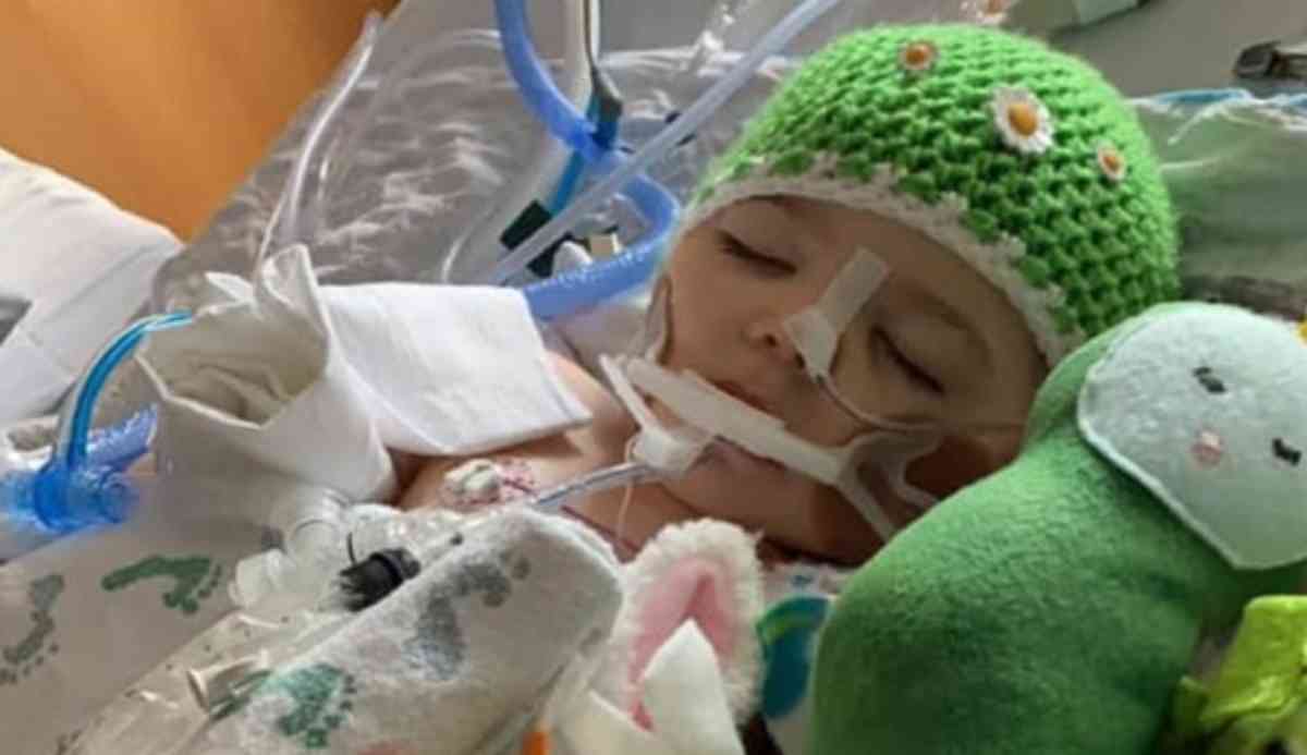 bambina di 2 anni dona organi 3